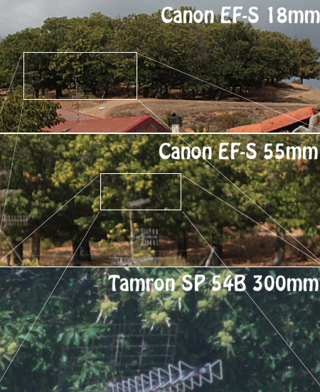 Tamron-SP-54B-300mm vs Canon-EF-S-18-55mm